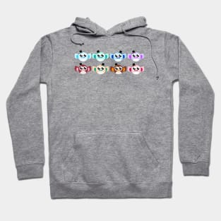 Colorful Owlets Hoodie